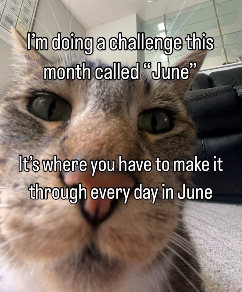 I'm doing a challenge this month called "June" It's where you have to make it through every day in June