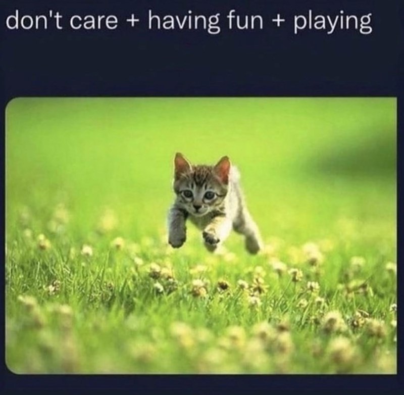 don't care + having fun + playing