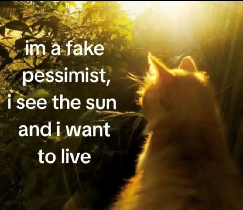 im a fake pessimist, I see the sun and i want to live