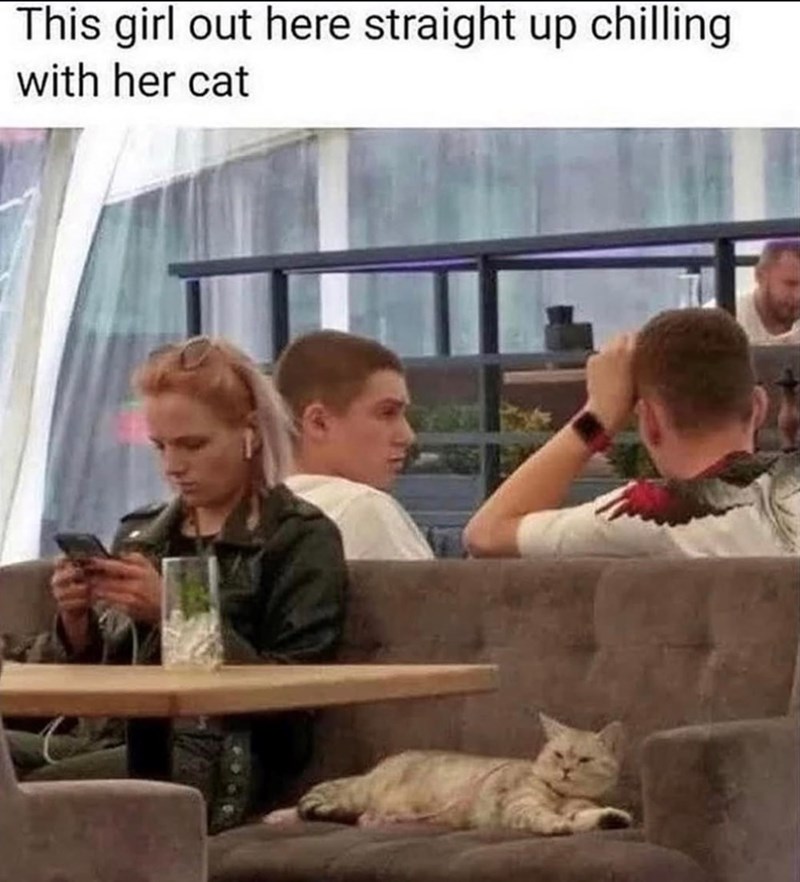 This girl out here straight up chilling with her cat