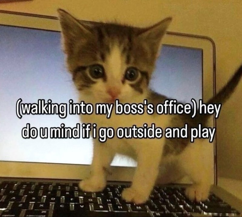 (walking into my boss's office) hey dou mind if i go outside and play