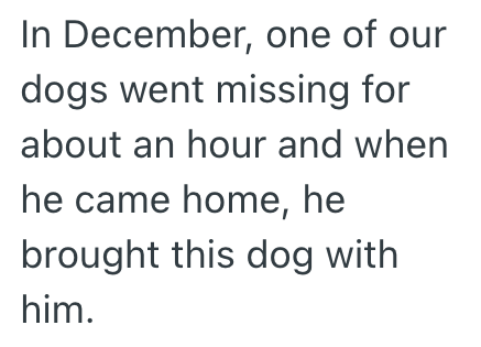 In December, one of our dogs went missing for about an hour and when he came home, he brought this dog with him.