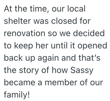 At the time, our local shelter was closed for renovation so we decided to keep her until it opened back up again and that's the story of how Sassy became a member of our family!