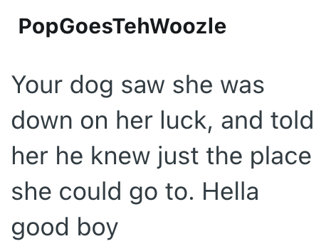 PopGoesTehWoozle Your dog saw she was down on her luck, and told her he knew just the place she could go to. Hella good boy