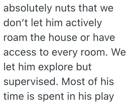 absolutely nuts that we don't let him actively roam the house or have access to every room. We let him explore but supervised. Most of his time is spent in his play