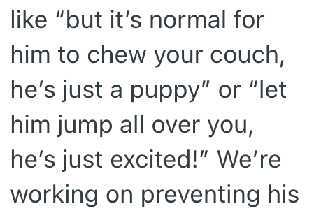 like "but it's normal for him to chew your couch, he's just a puppy" or "let him jump all over you, he's just excited!" We're working on preventing his