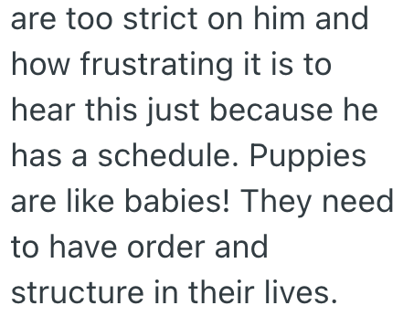 are too strict on him and how frustrating it is to hear this just because he has a schedule. Puppies are like babies! They need to have order and structure in their lives.