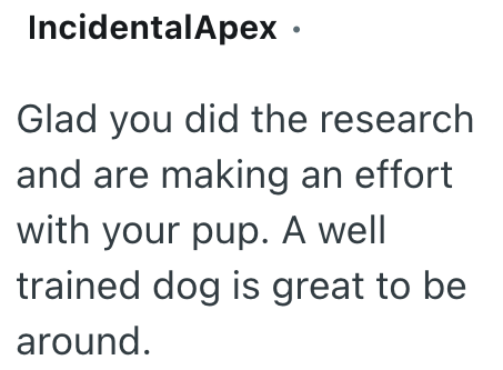 Incidental Apex ⚫ Glad you did the research and are making an effort with your pup. A well trained dog is great to be around.