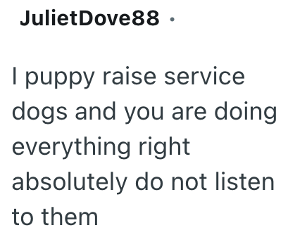 Juliet Dove88 · I puppy raise service dogs and you are doing everything right absolutely do not listen to them