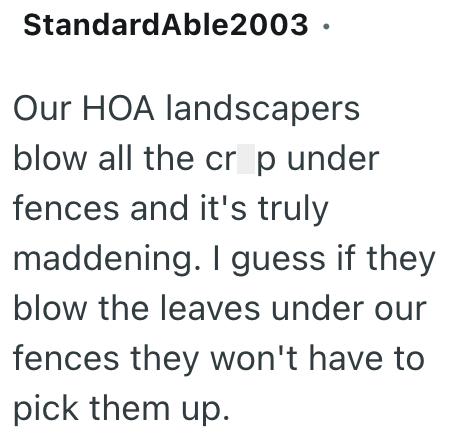 Standard Able2003 ⚫ Our HOA landscapers blow all the crop under fences and it's truly maddening. I guess if they blow the leaves under our fences they won't have to pick them up.