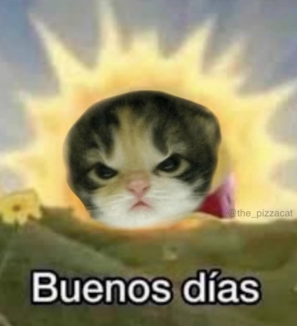 @the_pizzacat Buenos días