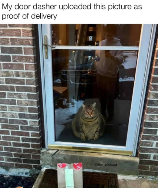 My door dasher uploaded this picture as proof of delivery @the_pizzacat