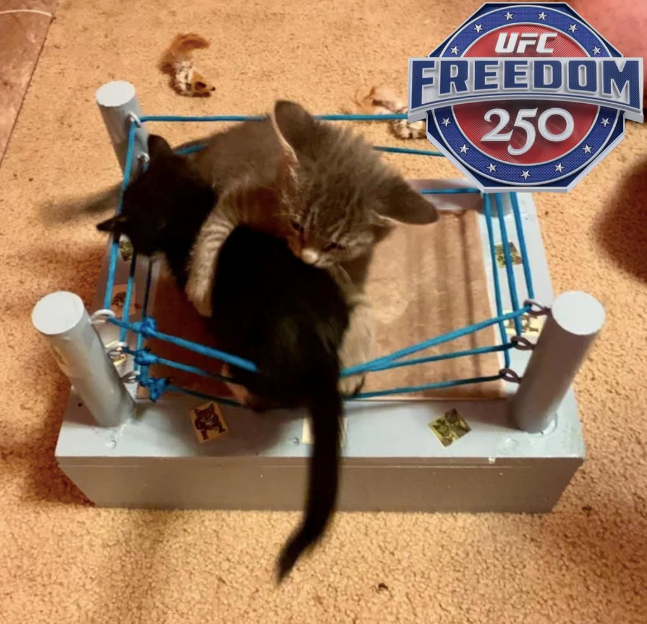 * UFC * * FREEDOM 250 *
