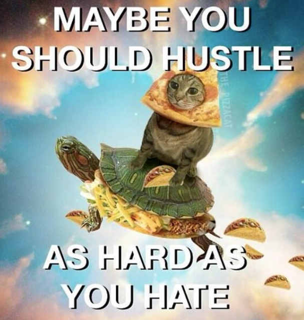 MAYBE YOU SHOULD HUSTLE THE PIZZACAT AS HARD AS YOU HATE