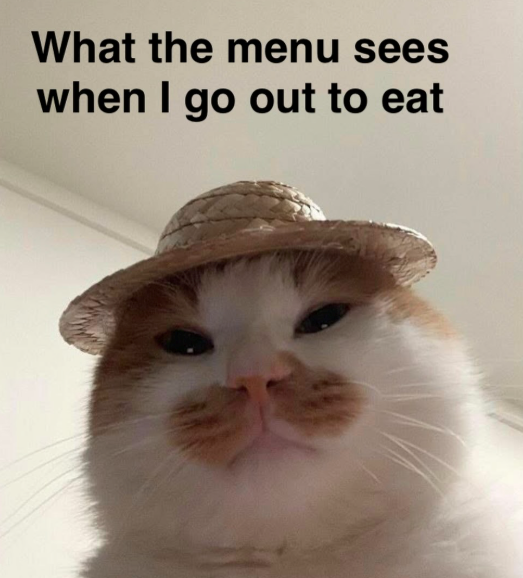 What the menu sees when I go out to eat