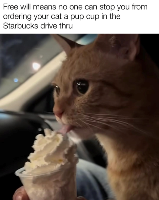 Free will means no one can stop you from ordering your cat a pup cup in the Starbucks drive thru