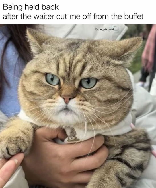 Being held back after the waiter cut me off from the buffet @the_pizzacat