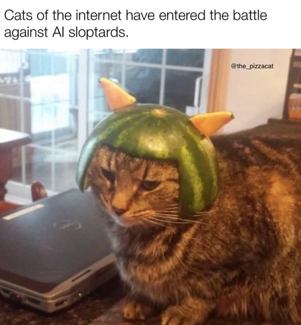 Cats of the internet have entered the battle against Al sloptards. @the_pizzacat