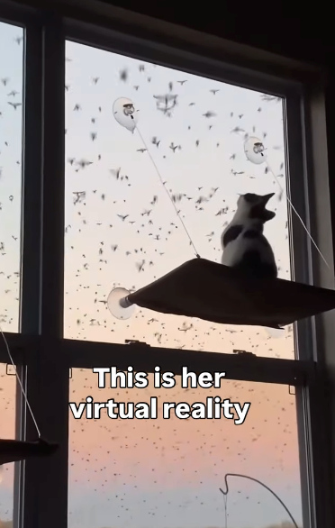 This is her virtual reality