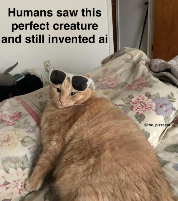 Humans saw this perfect creature and still invented ai @the_pizzacat
