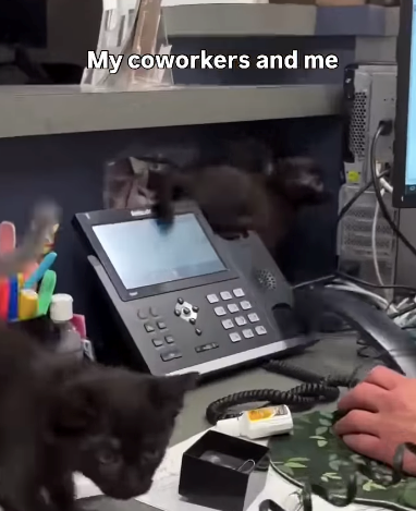 My coworkers and me