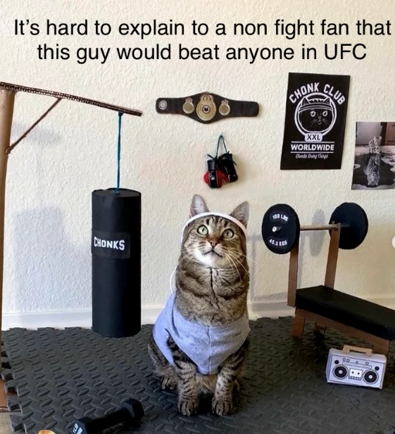 It's hard to explain to a non fight fan that this guy would beat anyone in UFC CHONK CLUB CHONKS XXL WORLDWIDE Chunks Day Change Re