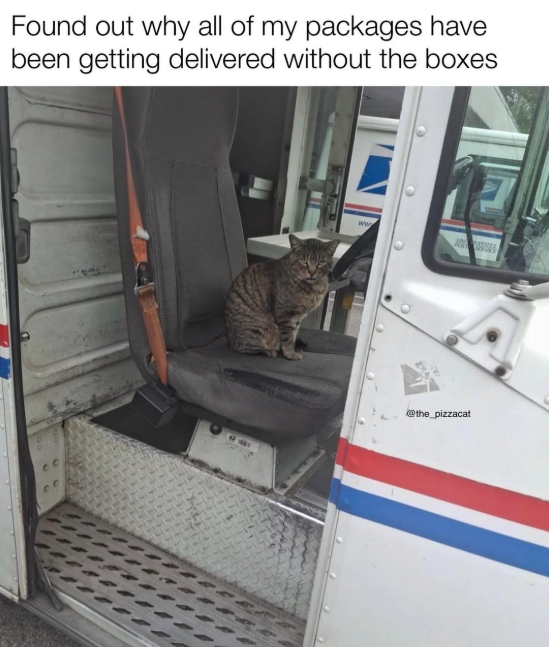 Found out why all of my packages have been getting delivered without the boxes ww @the_pizzacat