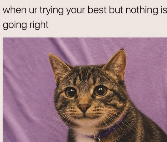 when ur trying your best but nothing is going right
