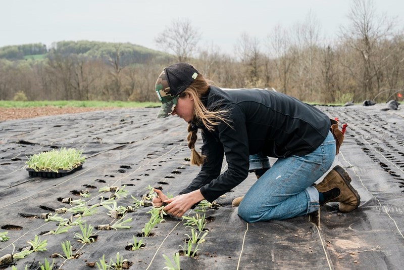 a woman kneeling of the ground in a plantation