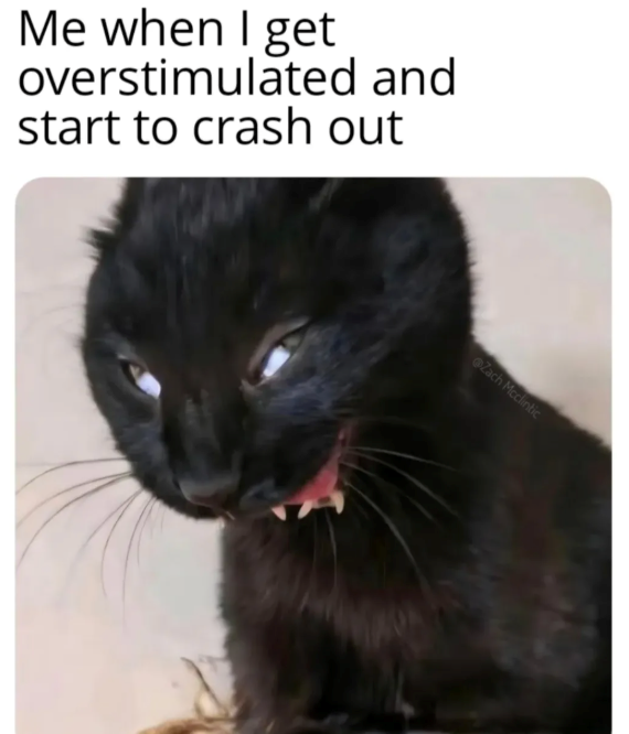 Me when I get overstimulated and start to crash out Zach Mcclintic