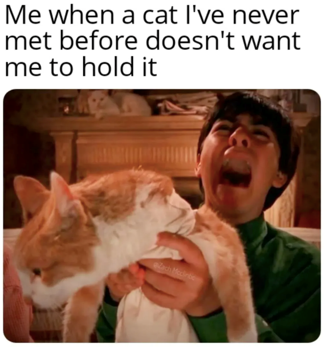 Me when a cat I've never met before doesn't want me to hold it Zach Mcclintic