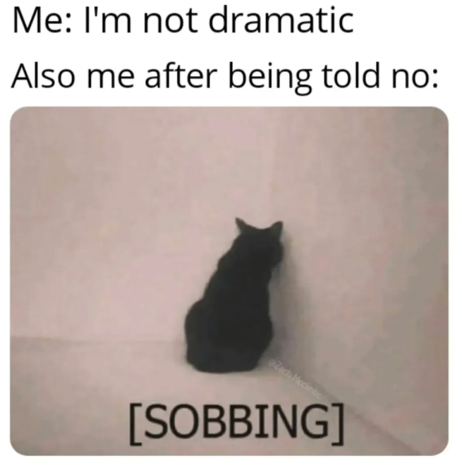 Me: I'm not dramatic Also me after being told no: Zach Mcclintc [SOBBING]