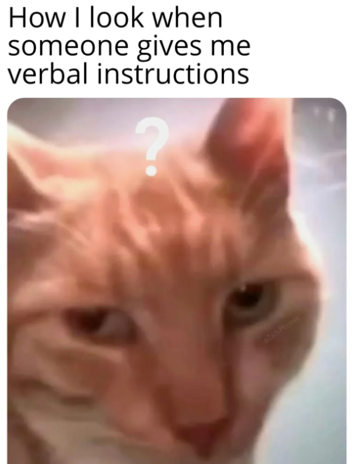 How I look when someone gives me verbal instructions Zach Mcclintic