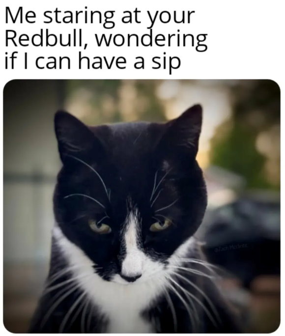 Me staring at your Redbull, wondering if I can have a sip 07ach Mcclintir