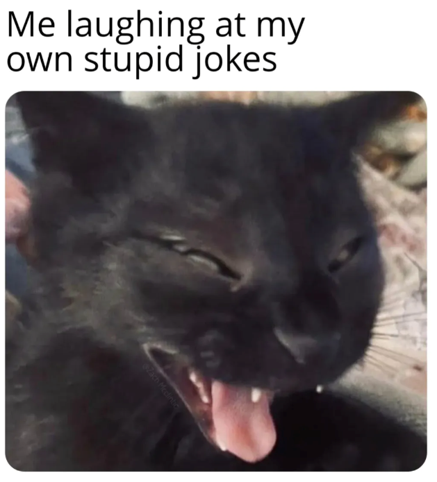 Me laughing at my own stupid jokes Zach Mcclintic