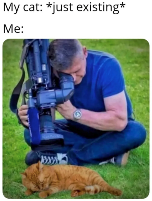 My cat: *just existing* Me: Zach Mcclin