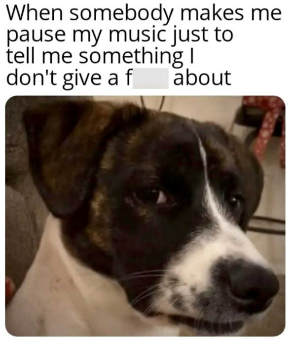 When somebody makes me pause my music just to tell me something I don't give a f about Zach Mcclintic