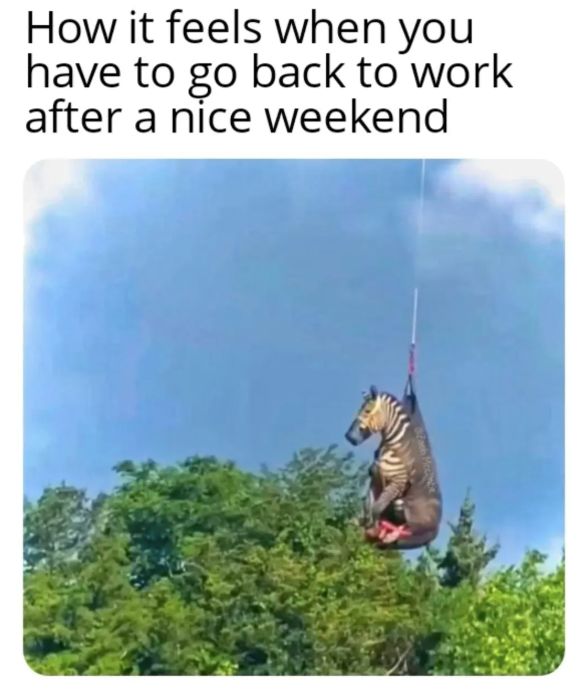 How it feels when you have to go back to work after a nice weekend