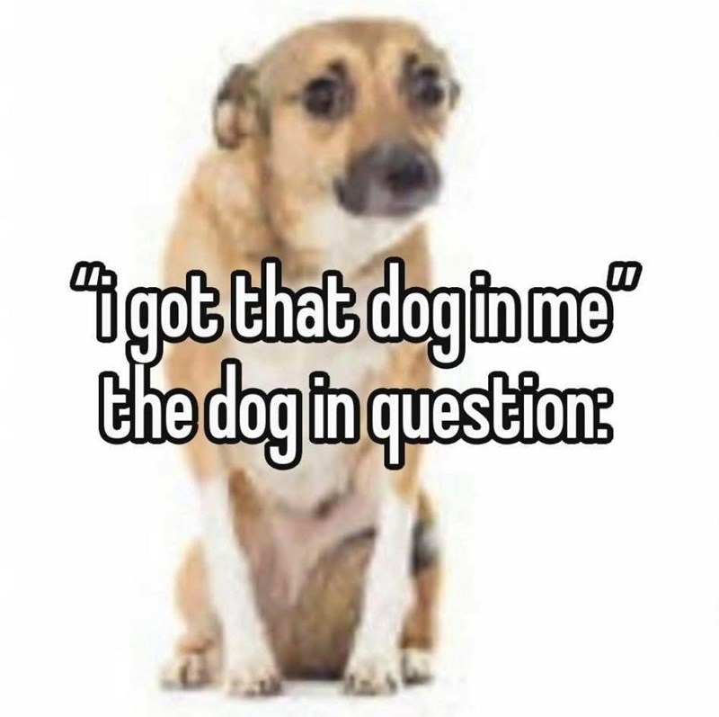 "i got that dog in me" the dog in question: