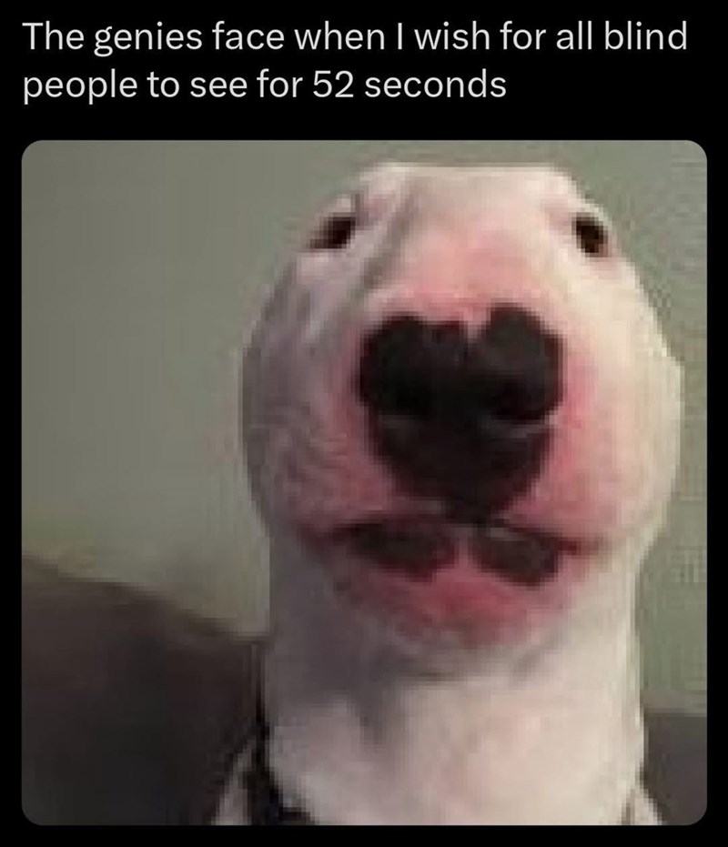 The genies face when I wish for all blind people to see for 52 seconds