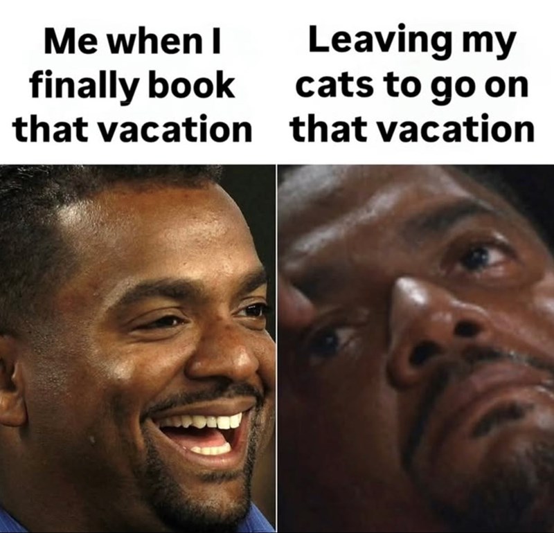 Me when I finally book that vacation Leaving my cats to go on that vacation