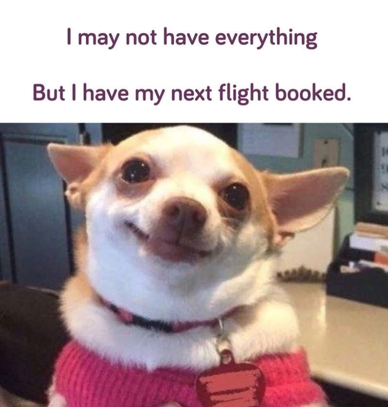I may not have everything But I have my next flight booked.