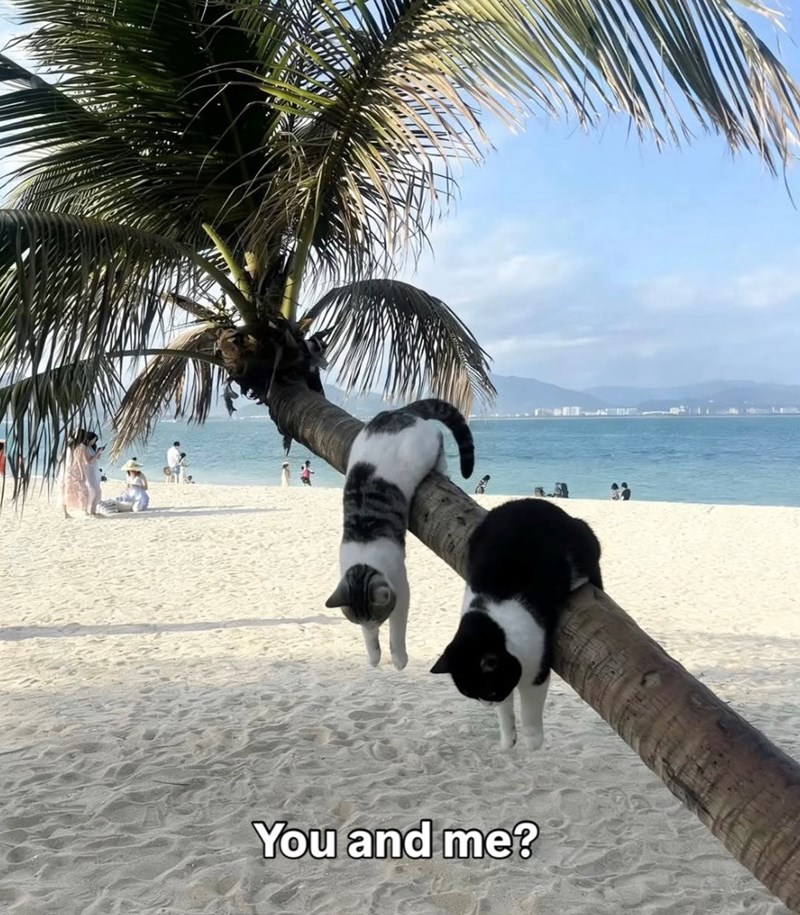 You and me?