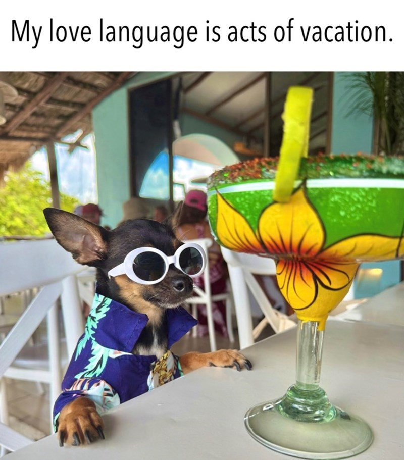 My love language is acts of vacation.