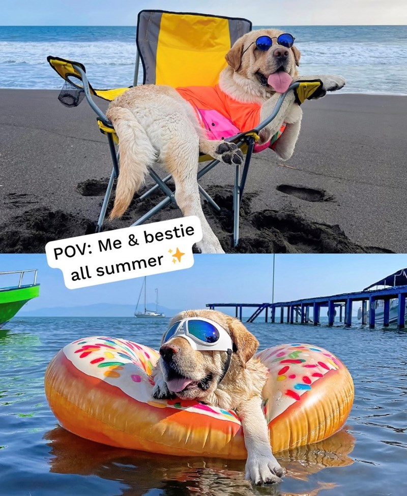 POV: Me & bestie all summer