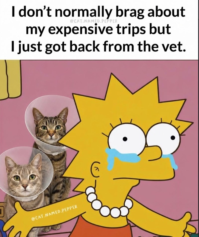 I don't normally brag about @CAT.NAMED.PEPPER my expensive trips but I just got back from the vet. @CAT.NAMED.PEPPER