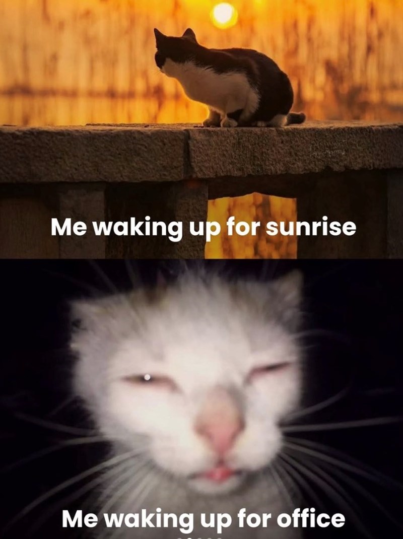 Me waking up for sunrise Me waking up for office