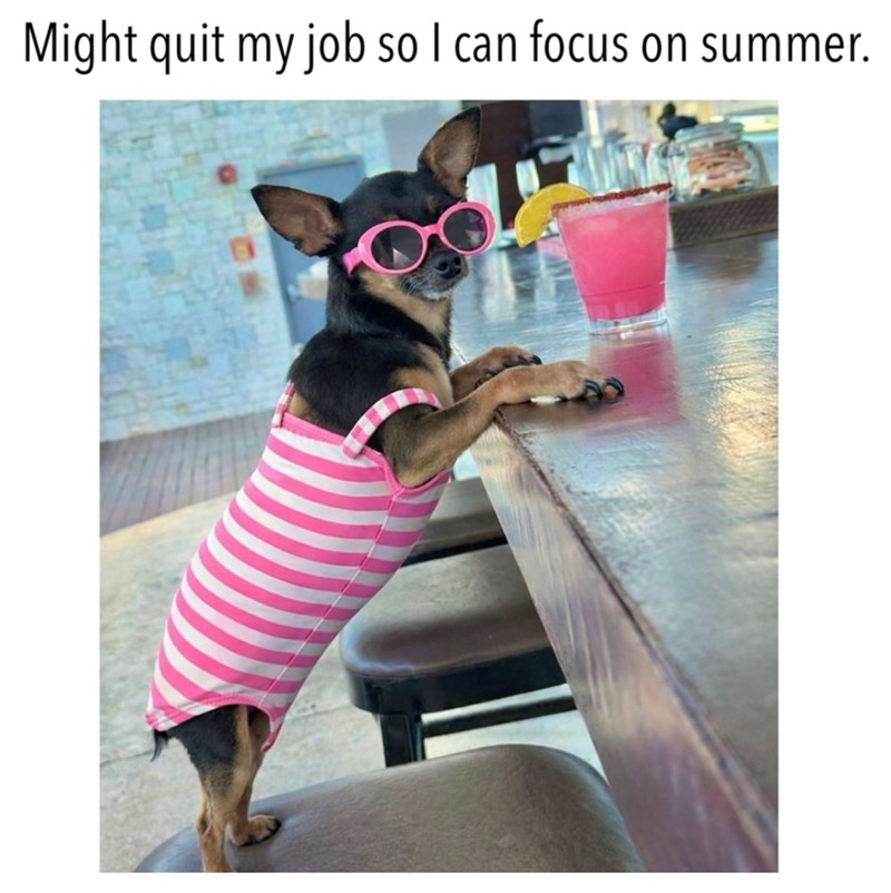 Might quit my job so I can focus on summer.