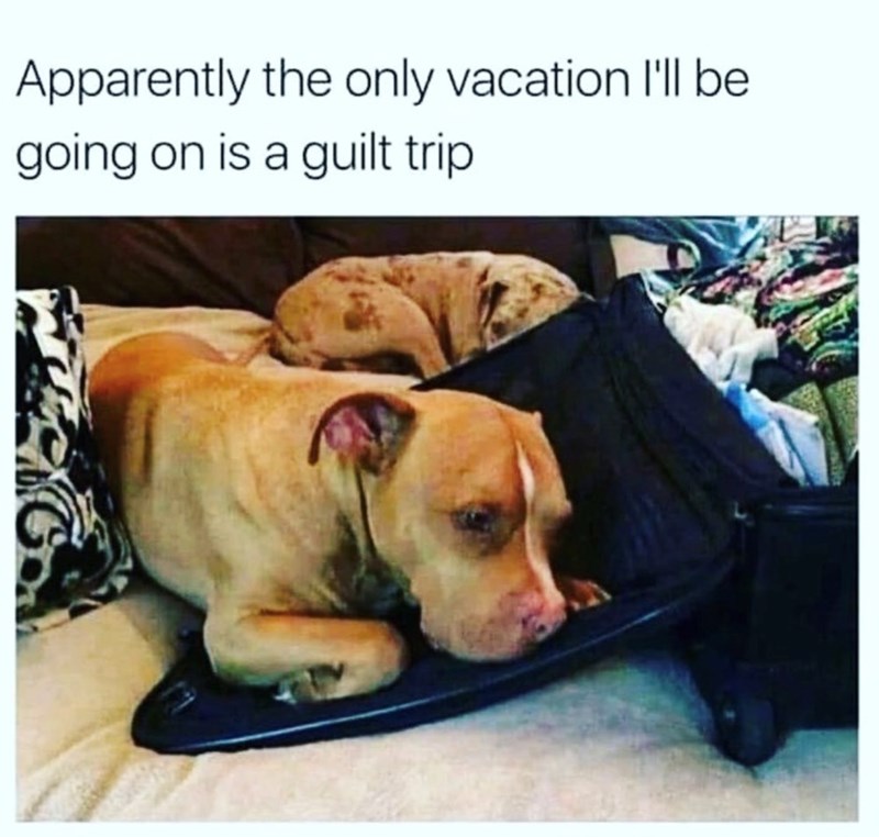 Apparently the only vacation I'll be going on is a guilt trip G
