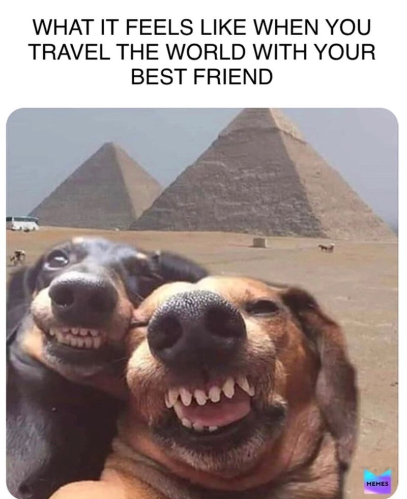10 WHAT IT FEELS LIKE WHEN YOU TRAVEL THE WORLD WITH YOUR BEST FRIEND MEMES